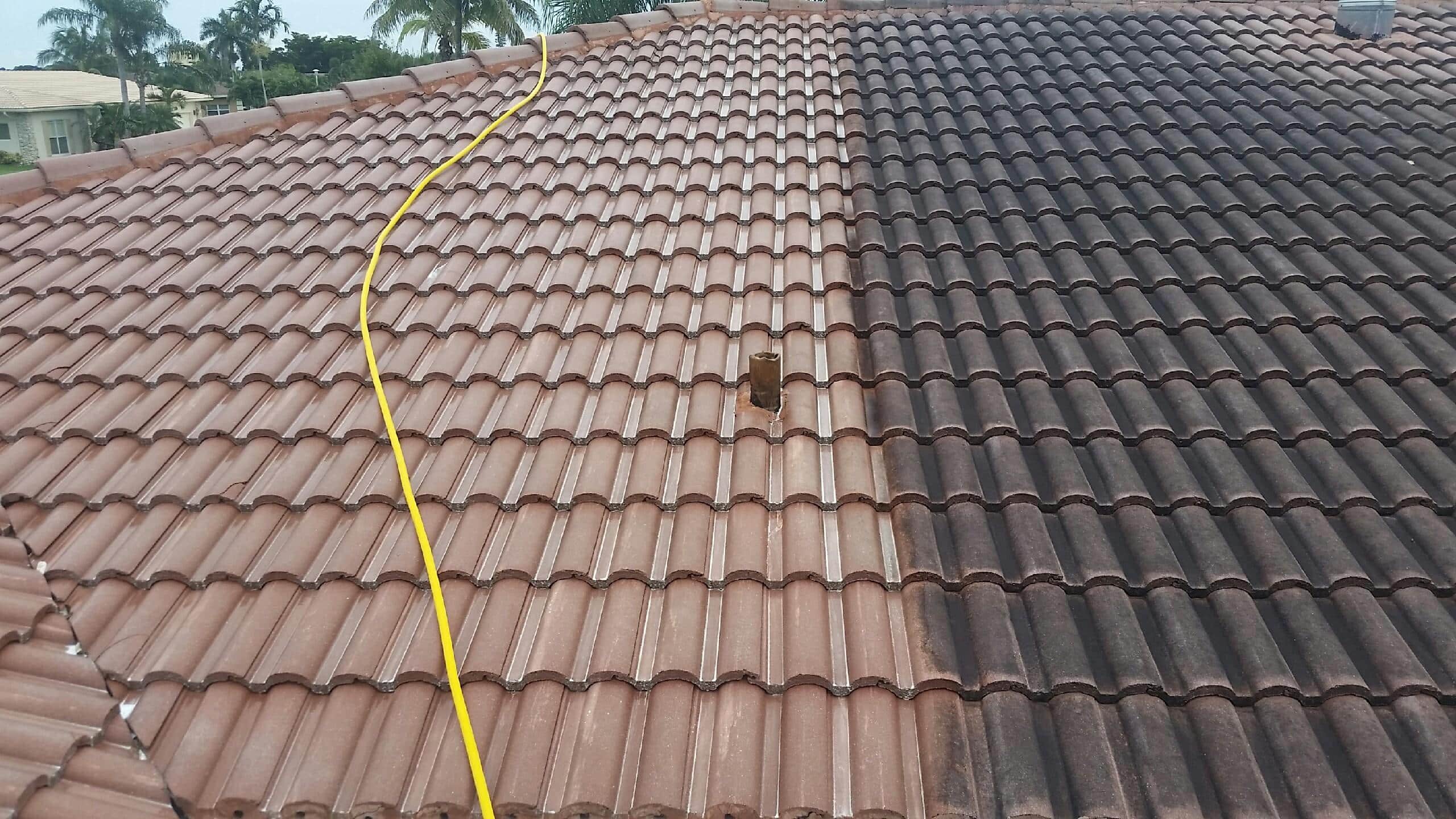 Affordable gutter and roof cleaning