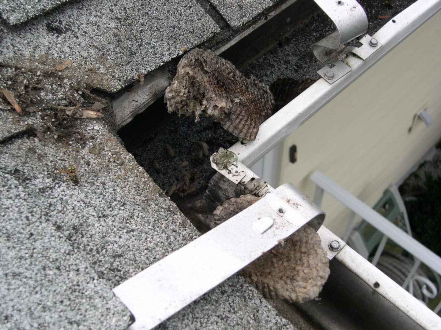 Commercial Gutter Repair