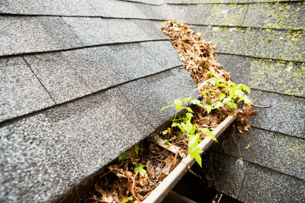 House Roof Gutter Blocked